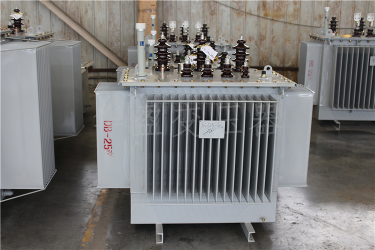 张家界S20-800kVA/10kV/0.4kV变压器